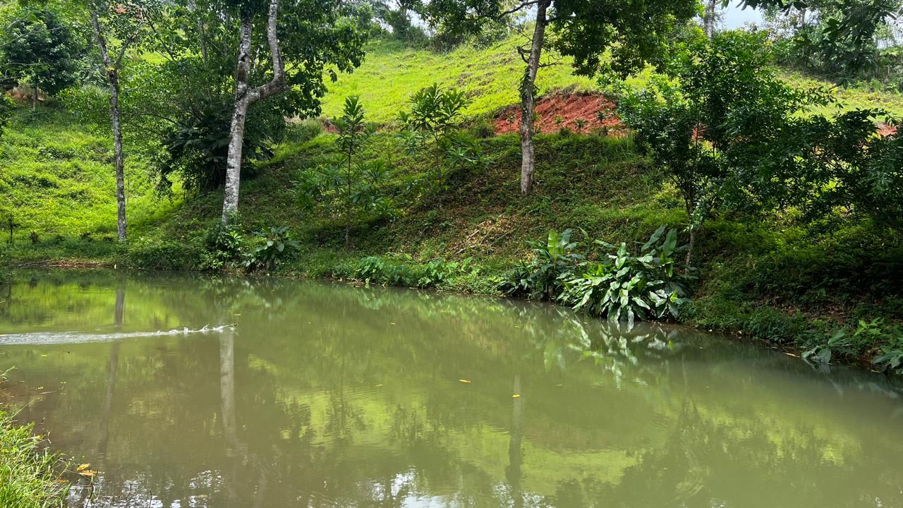 Building Lots for sale in Bijagual Costa Rica