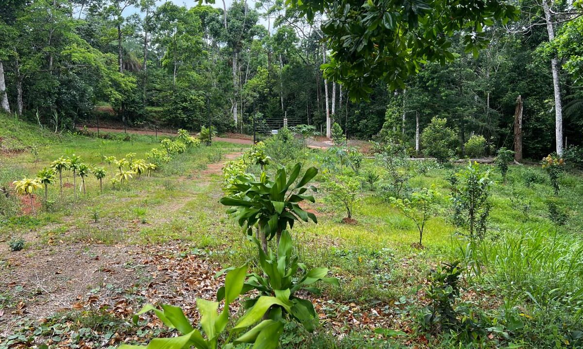 Building Lots for sale in Bijagual Costa Rica