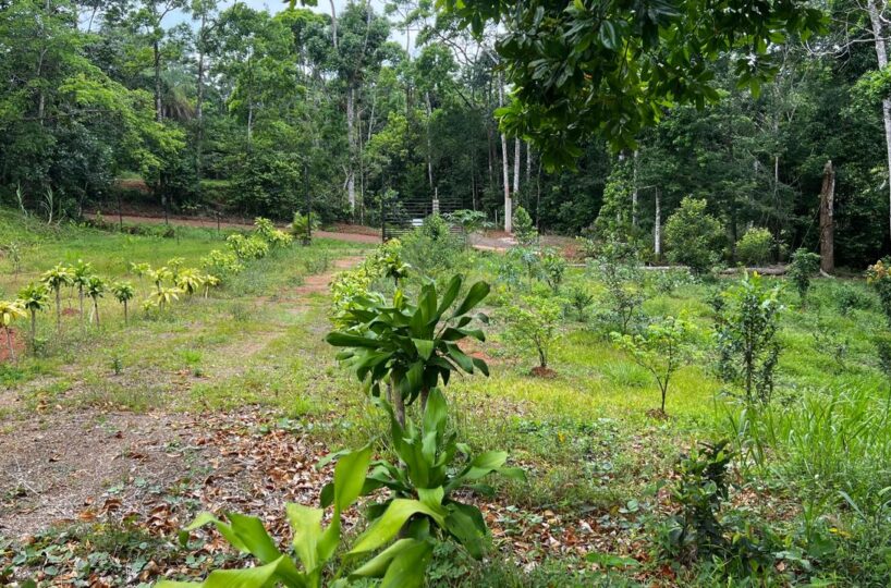 Building Lots for sale in Bijagual Costa Rica