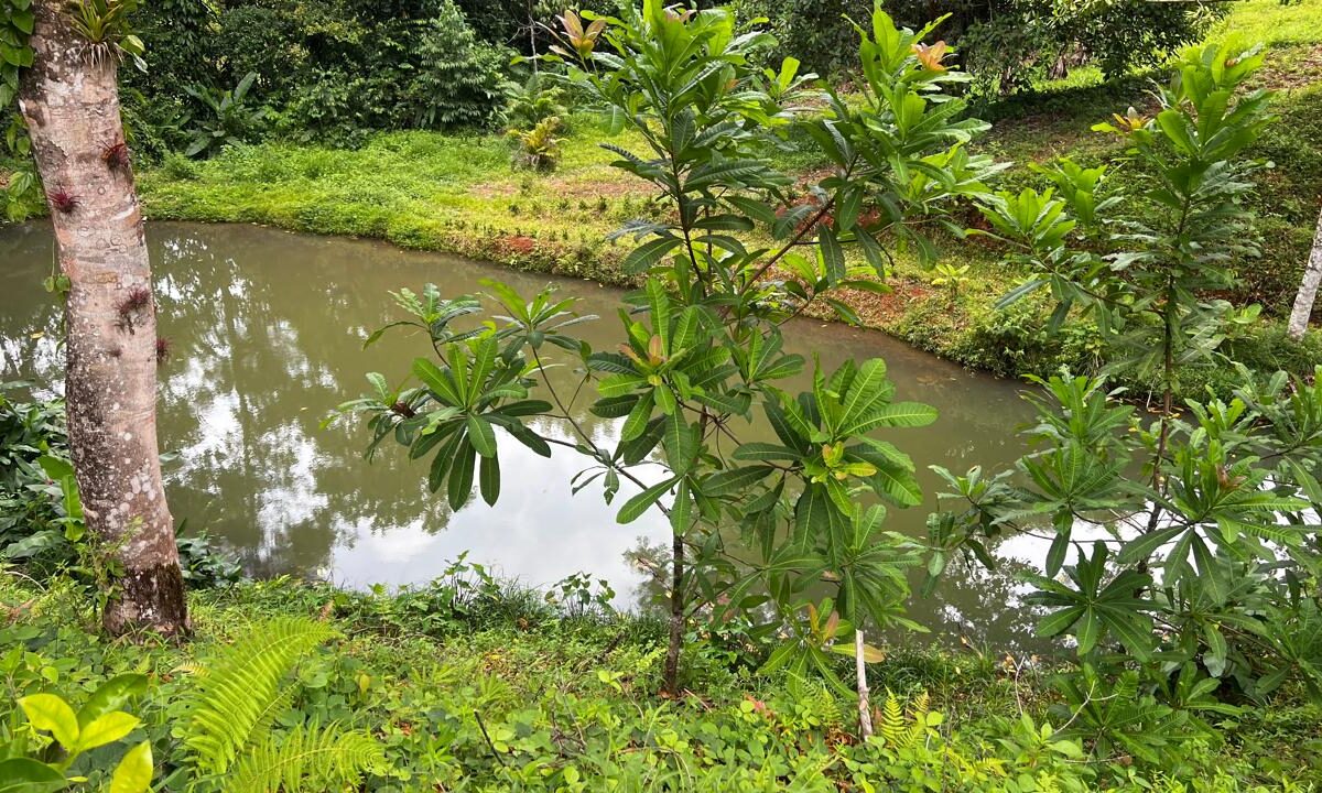 Building Lots for sale in Bijagual Costa Rica