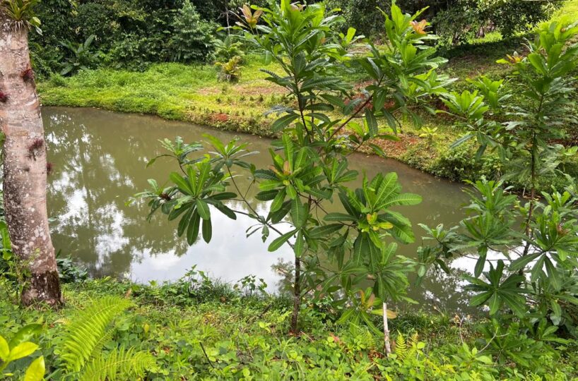 Building Lots for sale in Bijagual Costa Rica