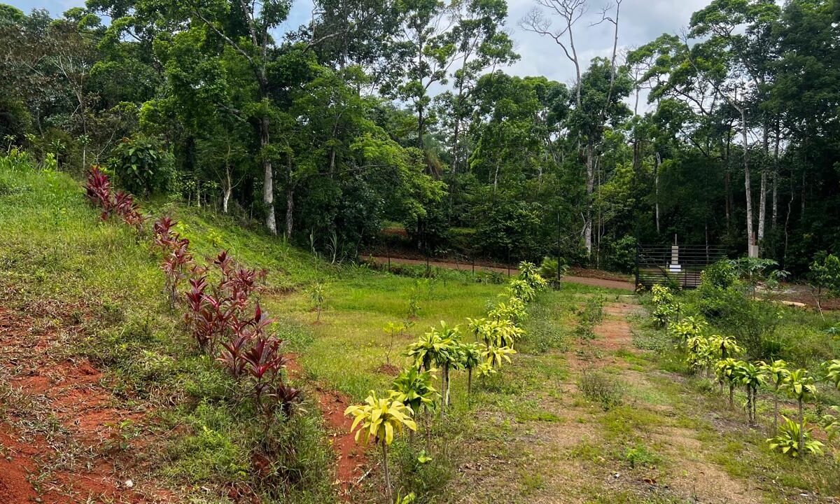 Building Lots for sale in Bijagual Costa Rica
