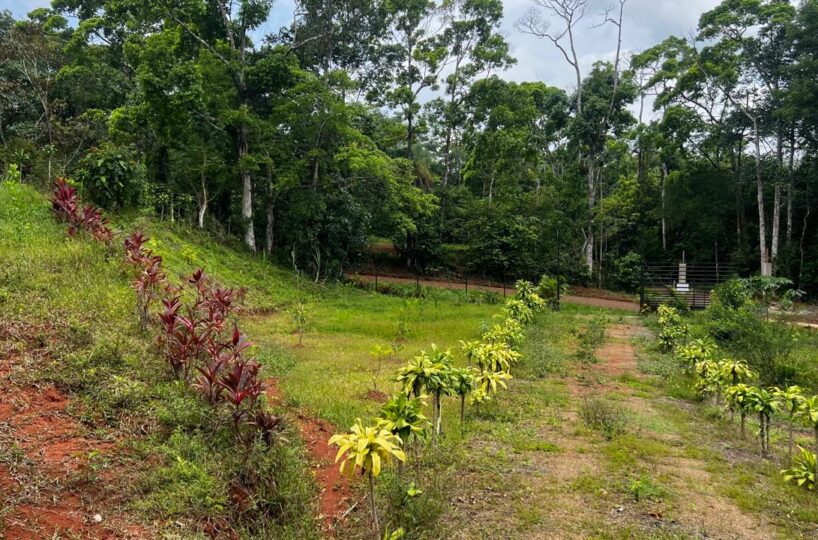Building Lots for sale in Bijagual Costa Rica