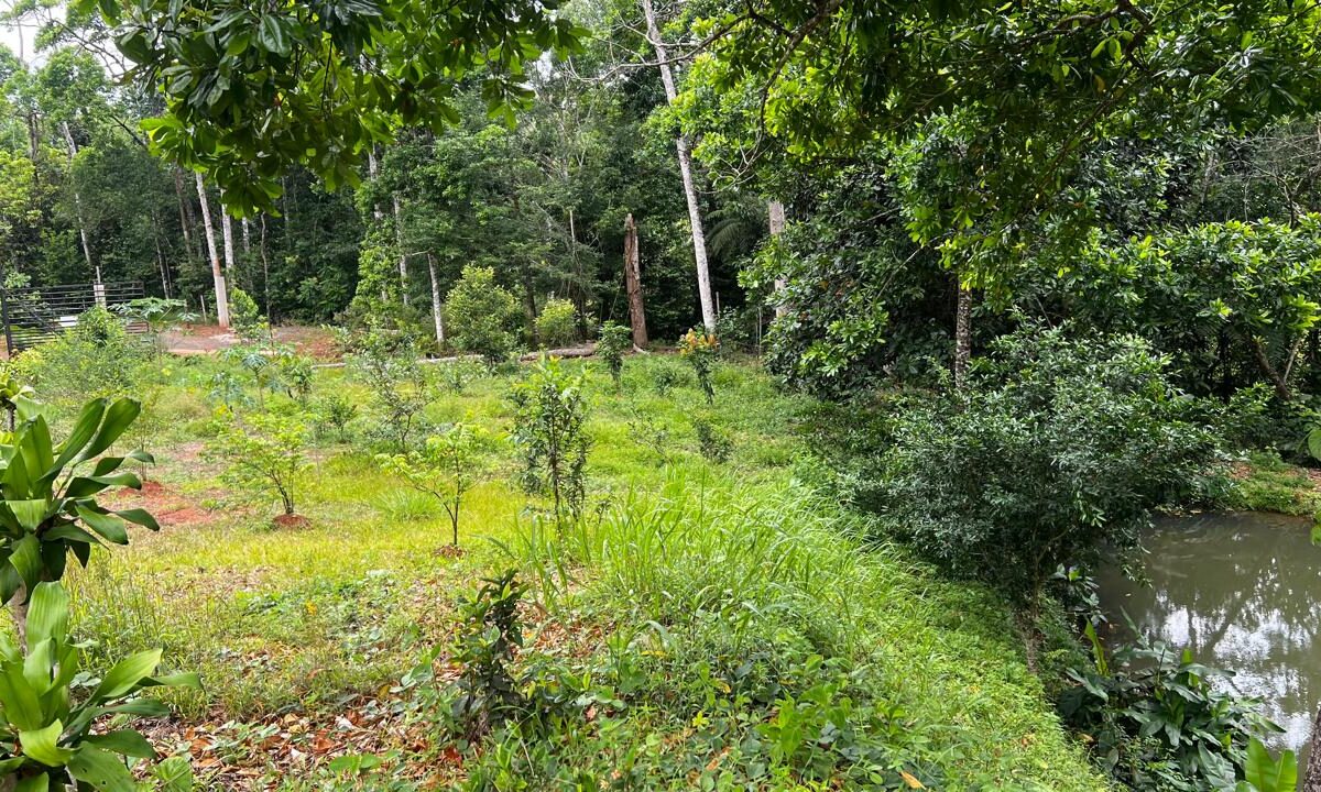 Building Lots for sale in Bijagual Costa Rica