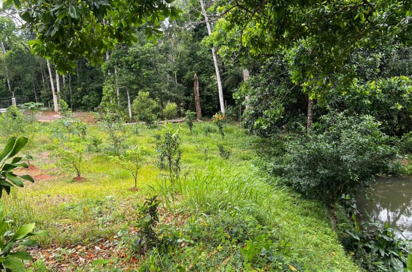 Building Lots for sale in Bijagual Costa Rica
