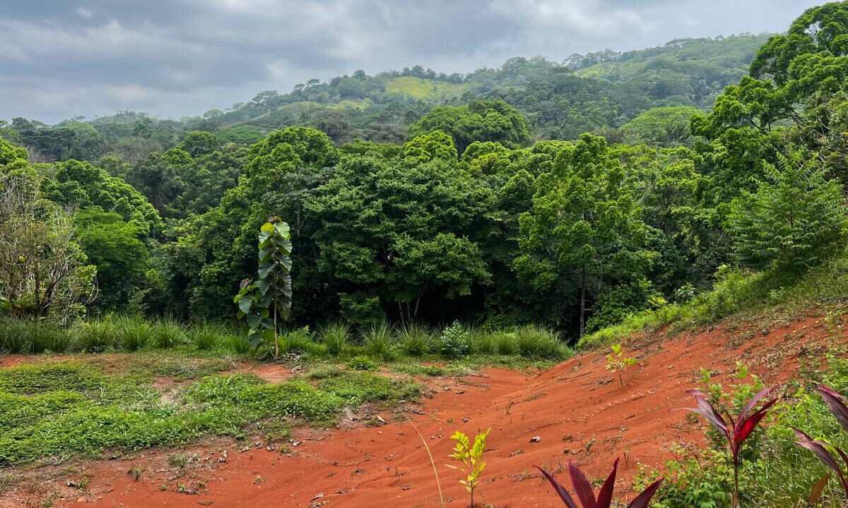 Building Lots for sale in Bijagual Costa Rica