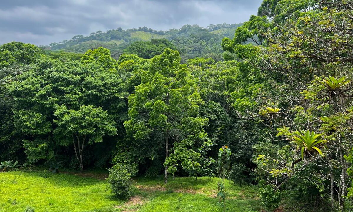 Building Lots for sale in Bijagual Costa Rica