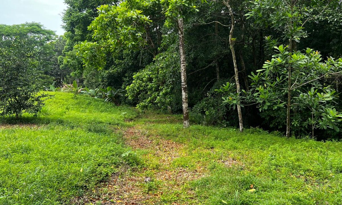 Building Lots for sale in Bijagual Costa Rica