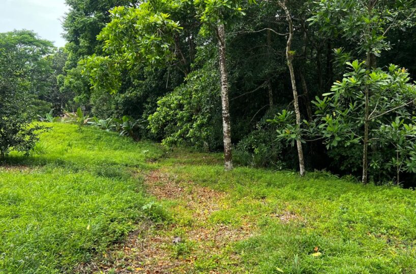 Building Lots for sale in Bijagual Costa Rica