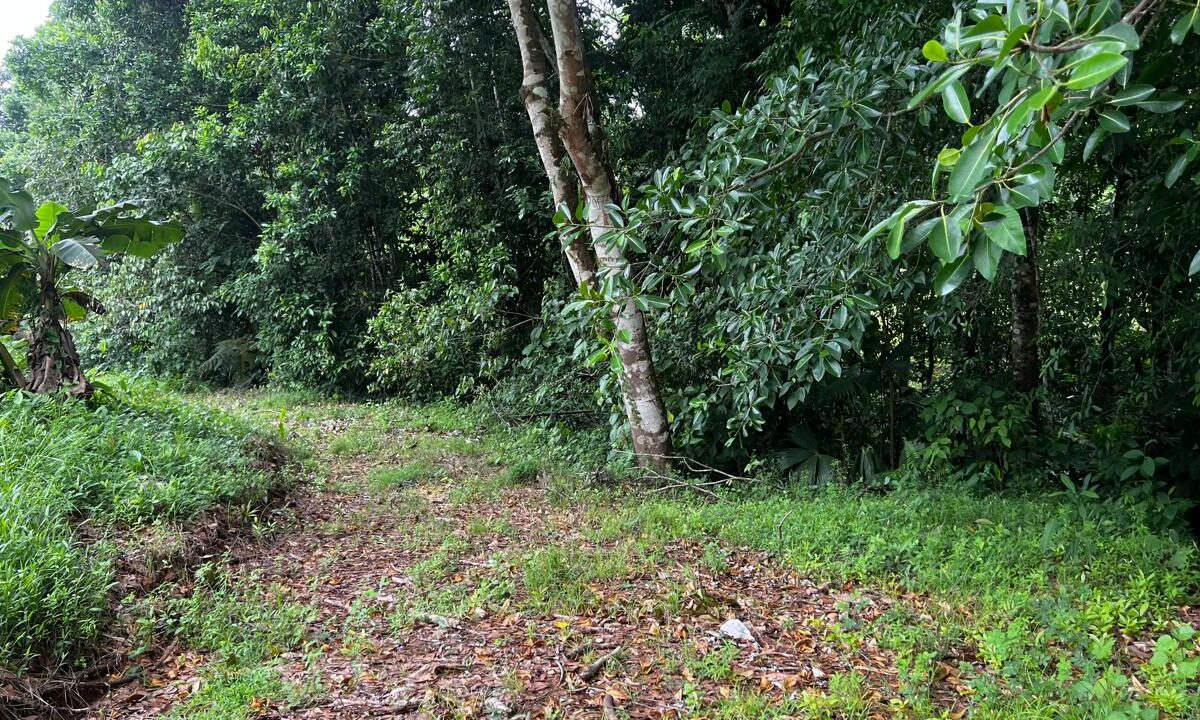 Building Lots for sale in Bijagual Costa Rica
