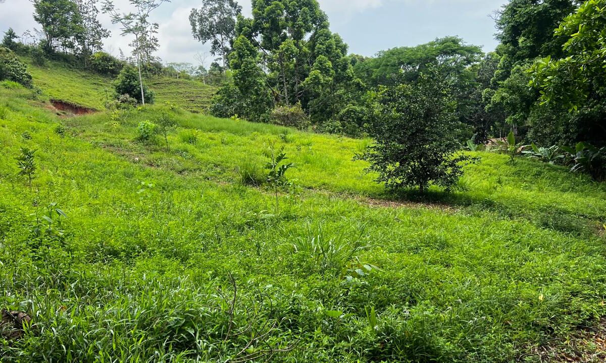 Building Lots for sale in Bijagual Costa Rica
