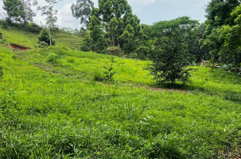 Building Lots for sale in Bijagual Costa Rica
