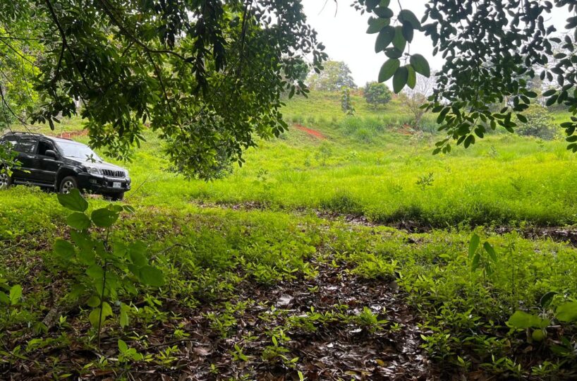 Building Lots for sale in Bijagual Costa Rica