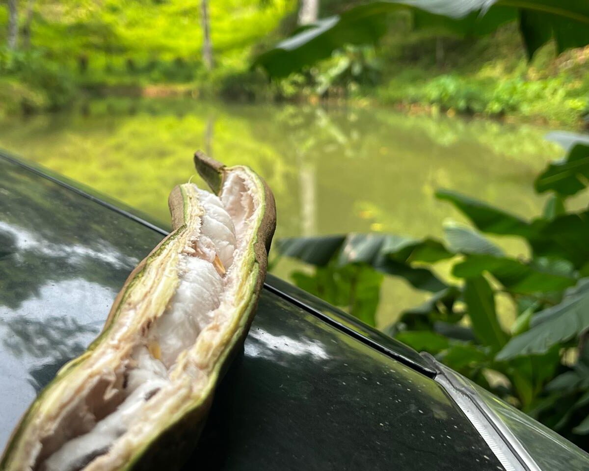 Building Lots for sale in Bijagual Costa Rica