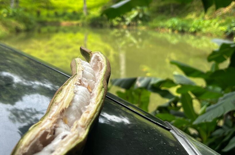 Building Lots for sale in Bijagual Costa Rica