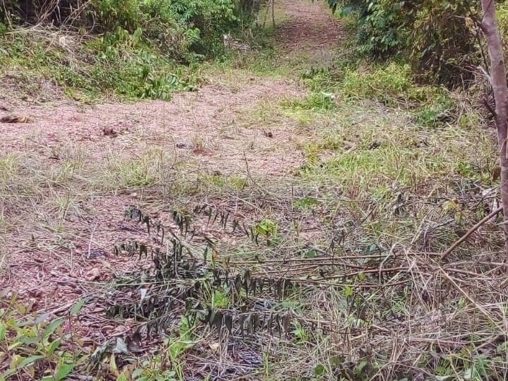 Building Lots for sale in Jaco Beach Costa Rica