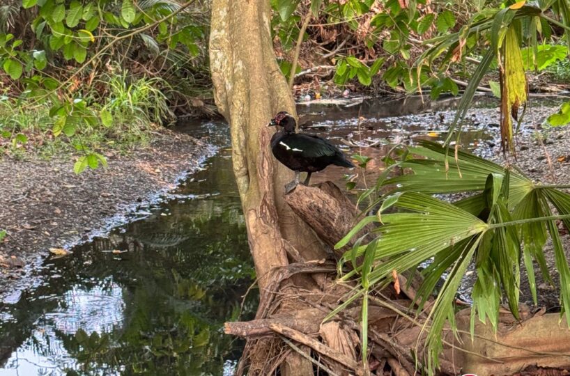 Building Lots for sale in Jaco Beach Costa Rica