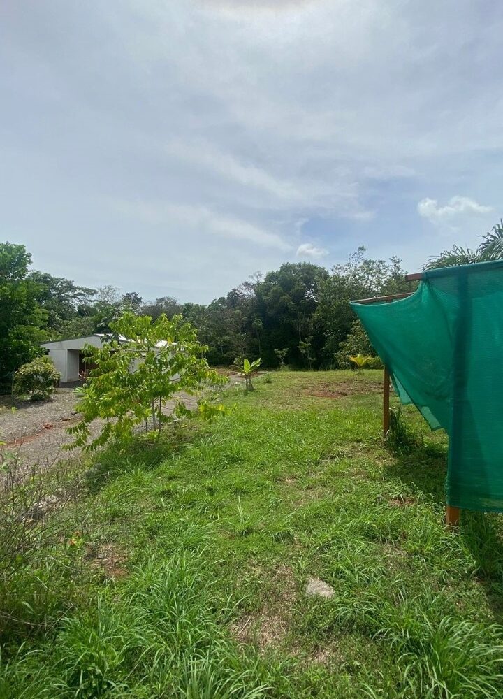 Hotel - B&B for sale in Parrita Costa Rica