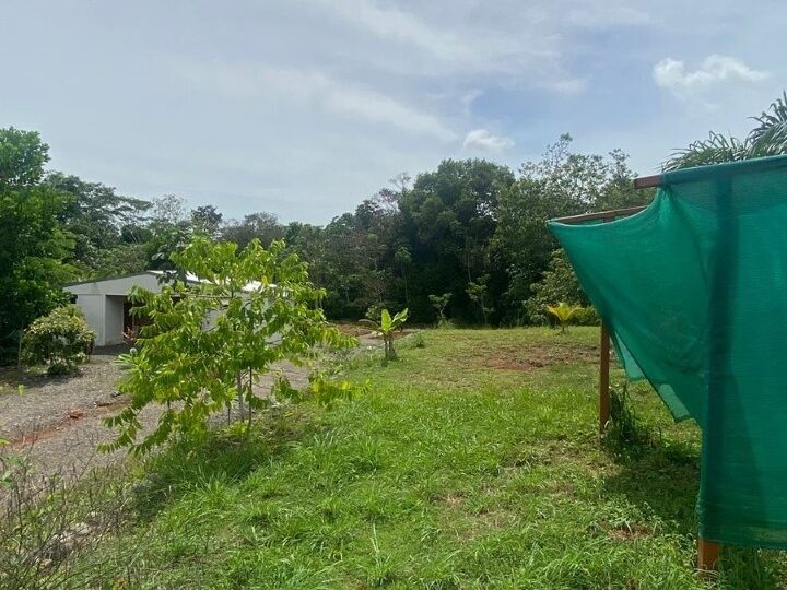 Hotel - B&B for sale in Parrita Costa Rica