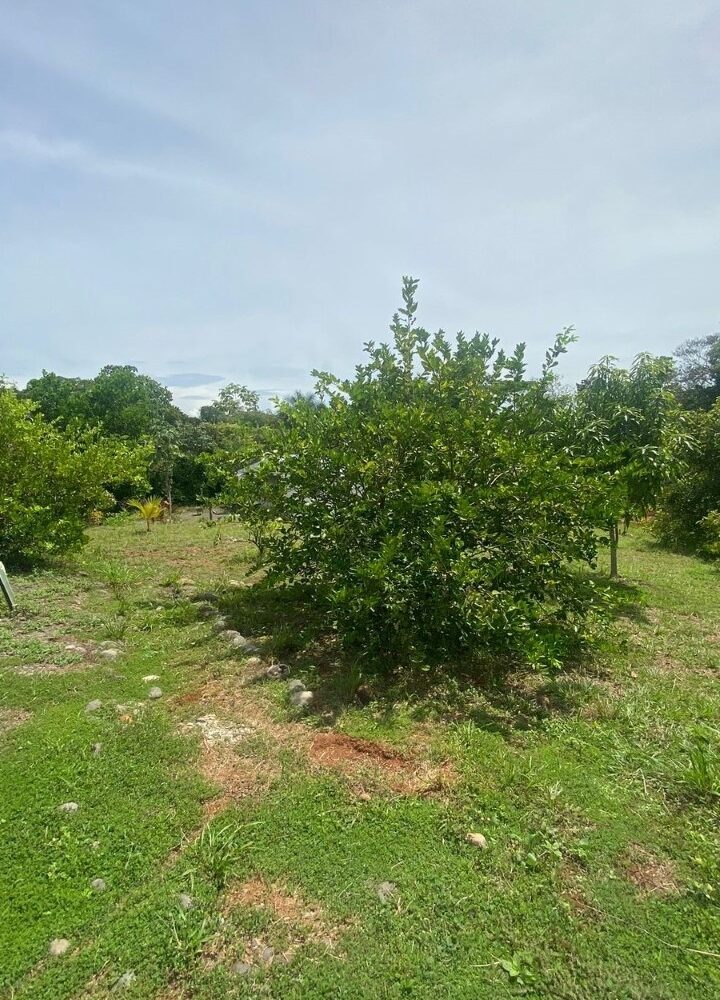 Hotel - B&B for sale in Parrita Costa Rica