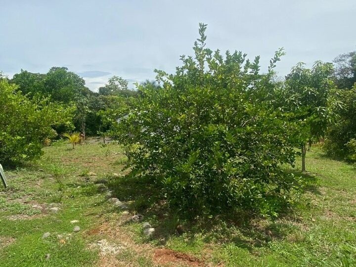 Hotel - B&B for sale in Parrita Costa Rica