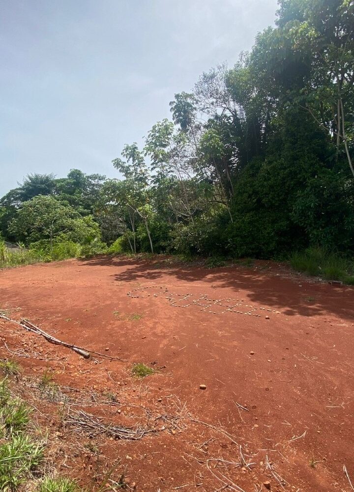 Hotel - B&B for sale in Parrita Costa Rica