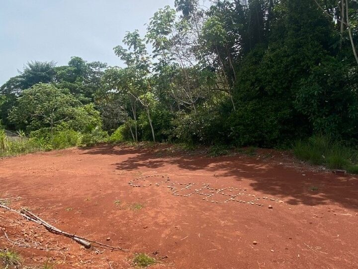 Hotel - B&B for sale in Parrita Costa Rica