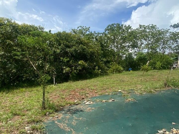 Hotel - B&B for sale in Parrita Costa Rica