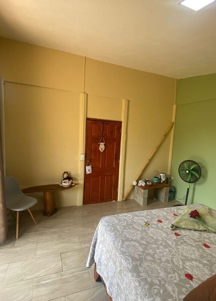 Hotel - B&B for sale in Parrita Costa Rica