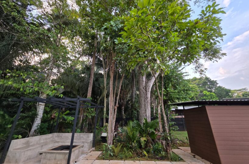 Homes for sale in Bejuco Costa Rica