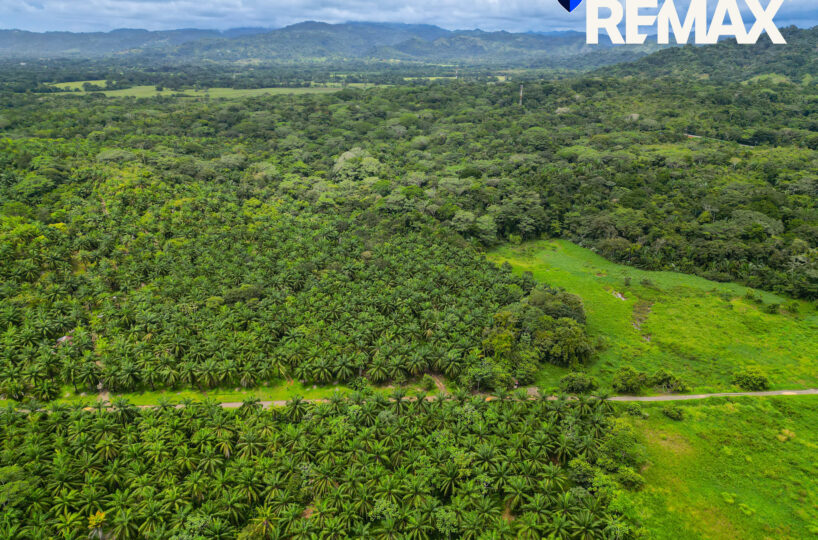 Development Land for sale in Esterillos Costa Rica