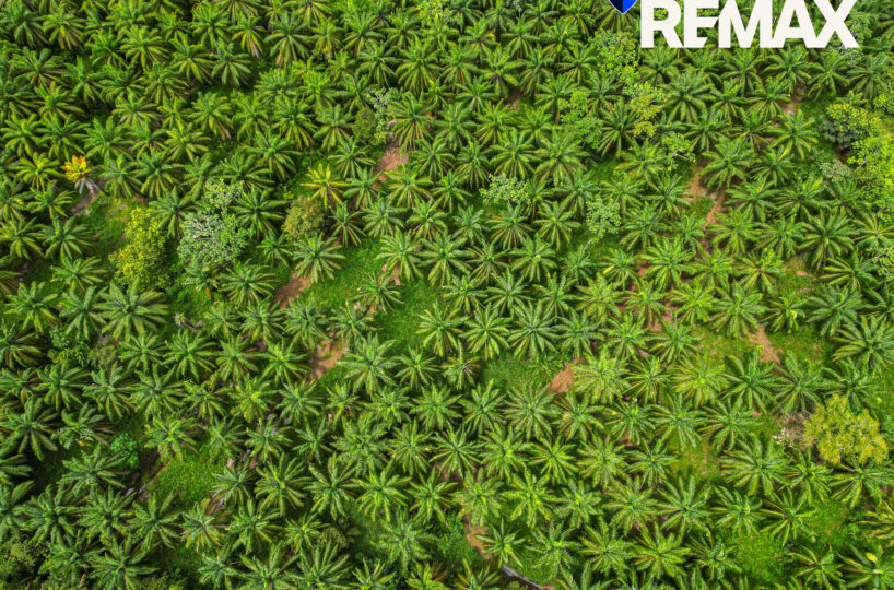 Development Land for sale in Esterillos Costa Rica