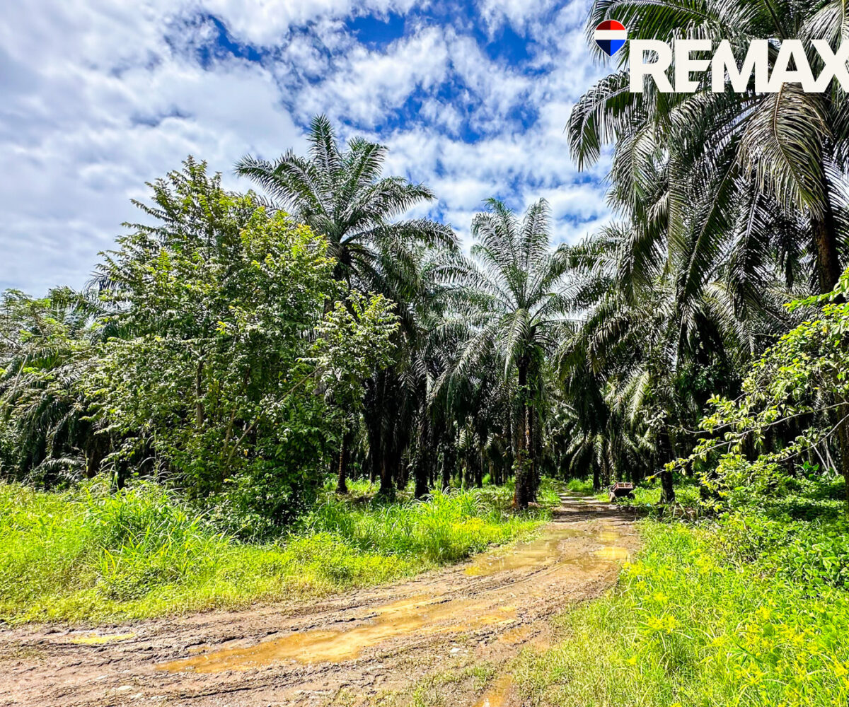 Development Land for sale in Esterillos Costa Rica