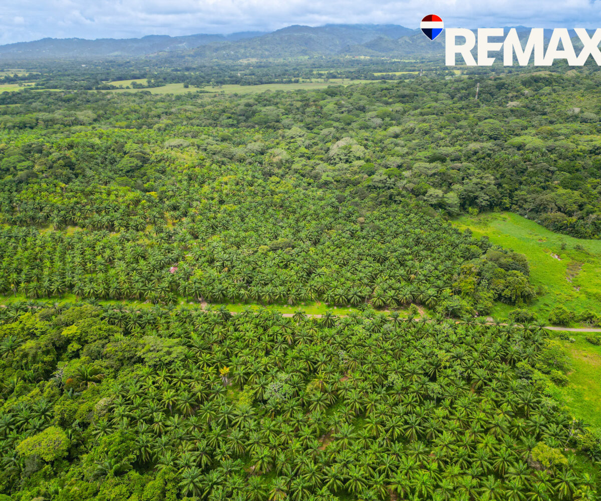 Development Land for sale in Esterillos Costa Rica