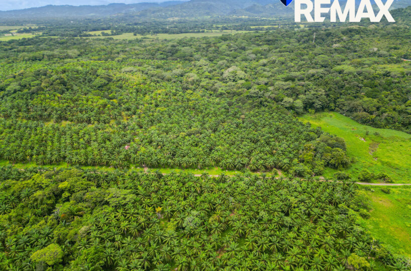 Development Land for sale in Esterillos Costa Rica