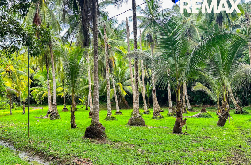 Development Land for sale in Esterillos Costa Rica