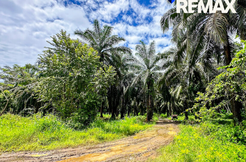 Development Land for sale in Esterillos Costa Rica