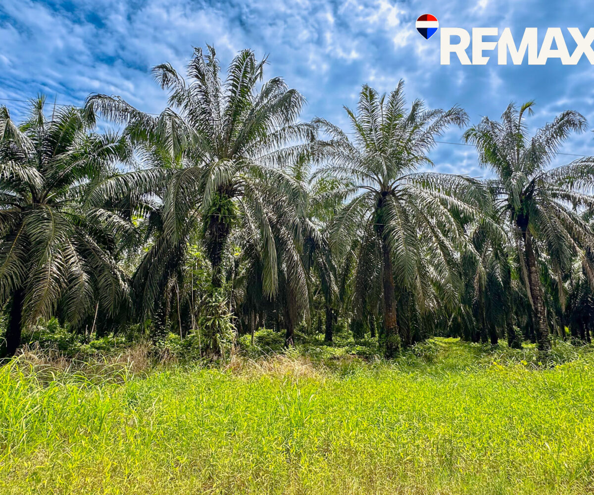 Development Land for sale in Esterillos Costa Rica