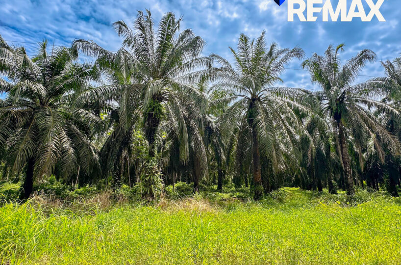 Development Land for sale in Esterillos Costa Rica