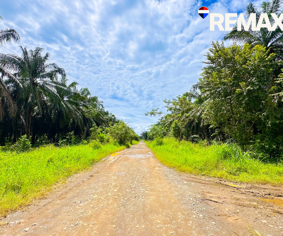 Development Land for sale in Esterillos Costa Rica