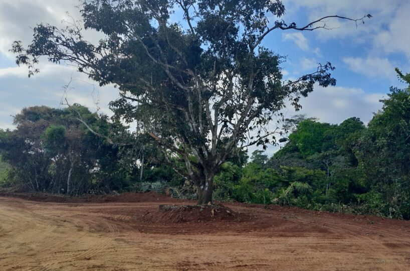 Development LandFarms and Ranches for sale in Puriscal Costa Rica