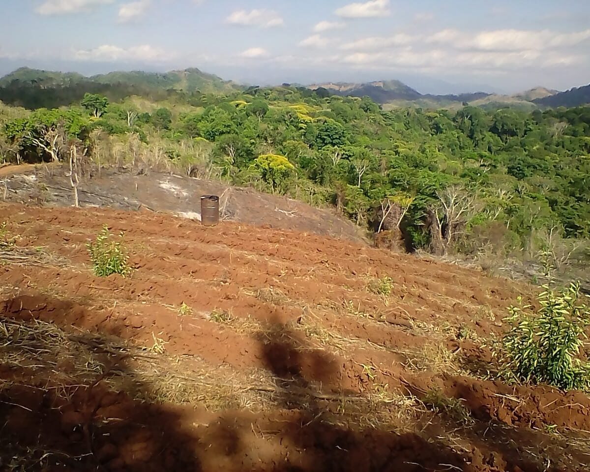 Development LandFarms and Ranches for sale in Puriscal Costa Rica