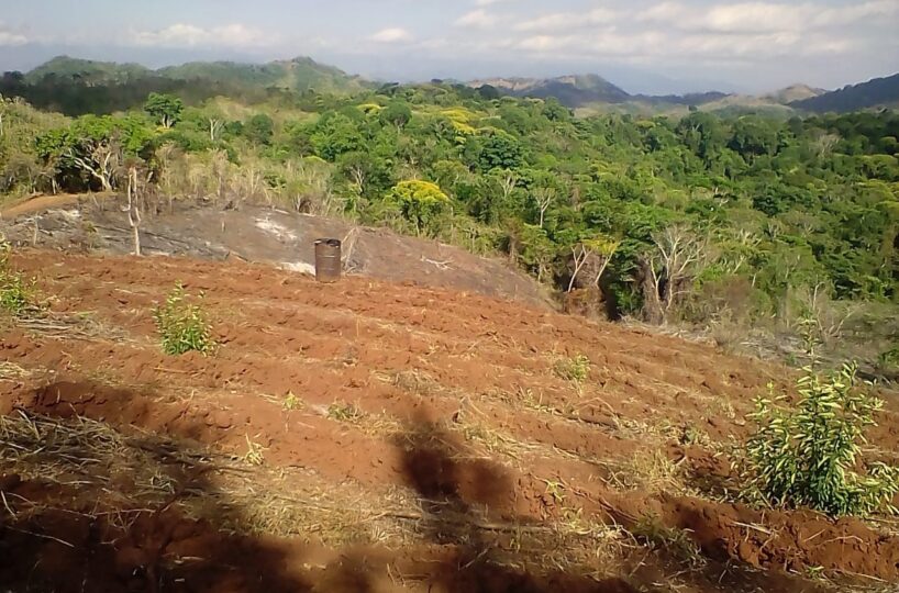 Development LandFarms and Ranches for sale in Puriscal Costa Rica