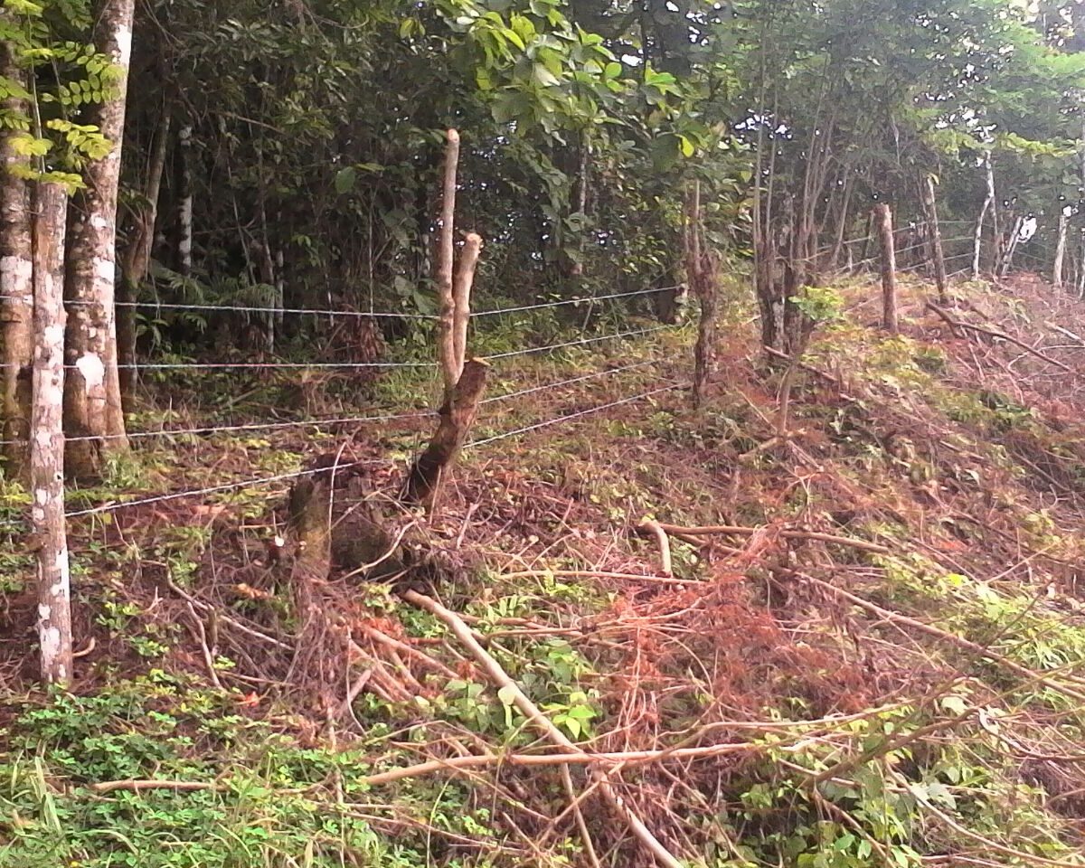 Development LandFarms and Ranches for sale in Puriscal Costa Rica