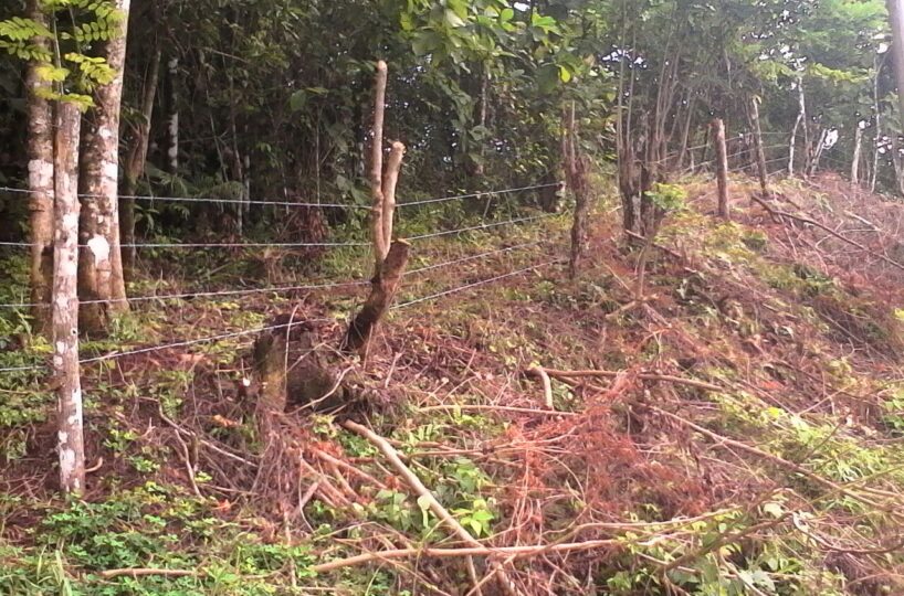 Development LandFarms and Ranches for sale in Puriscal Costa Rica