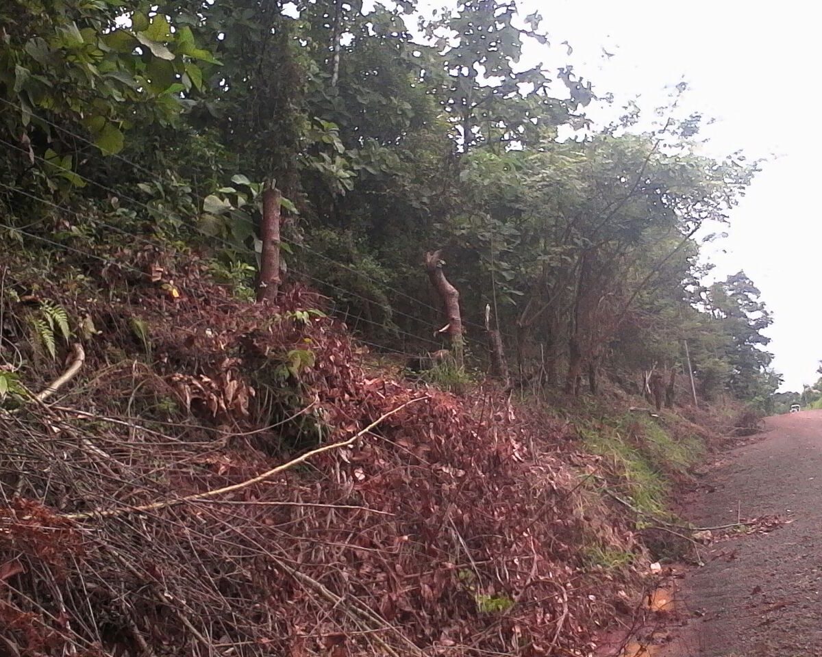 Development LandFarms and Ranches for sale in Puriscal Costa Rica