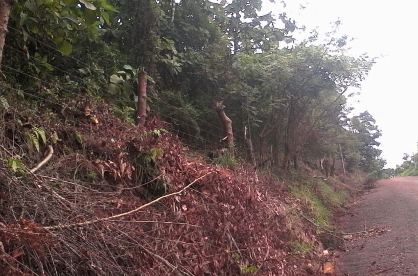 Development LandFarms and Ranches for sale in Puriscal Costa Rica