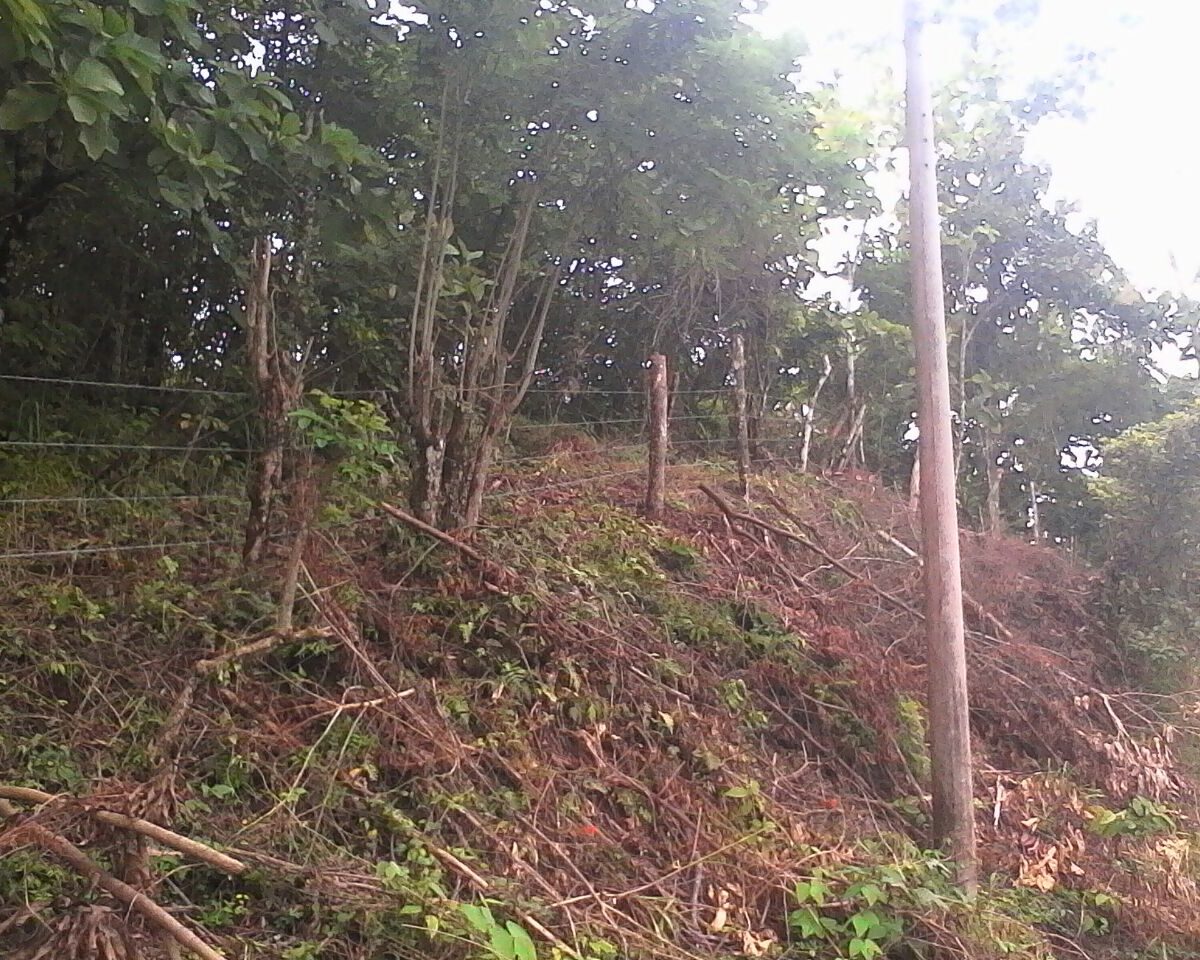 Development LandFarms and Ranches for sale in Puriscal Costa Rica