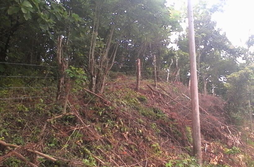 Development LandFarms and Ranches for sale in Puriscal Costa Rica
