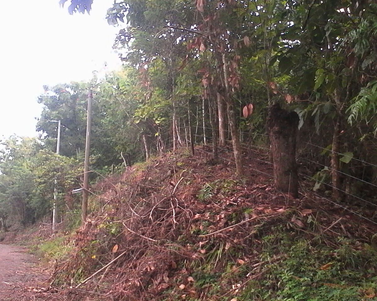 Development LandFarms and Ranches for sale in Puriscal Costa Rica